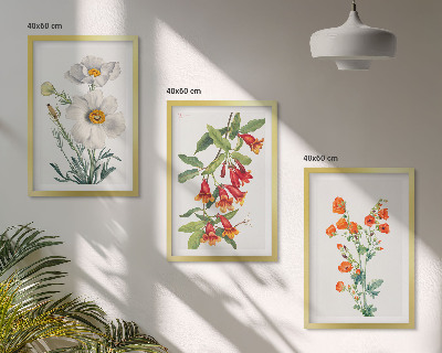 Lot de 3 tableaux pour salon Compositions florales rétro