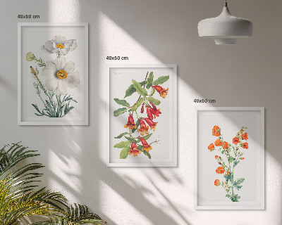 Lot de 3 tableaux pour salon Compositions florales rétro