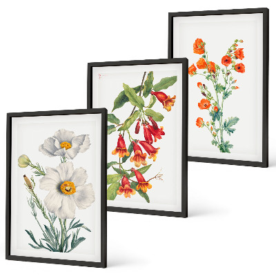 Lot de 3 tableaux pour salon Compositions florales rétro