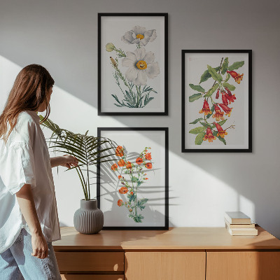 Lot de 3 tableaux pour salon Compositions florales rétro