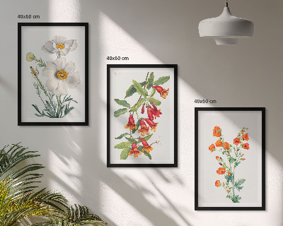 Lot de 3 tableaux pour salon Compositions florales rétro