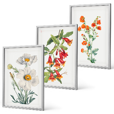 Lot de 3 tableaux pour salon Compositions florales rétro