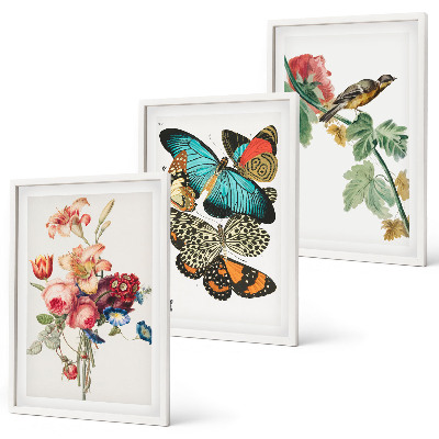 Cadre photo mural Fleurs, papillons, oiseaux, pastel