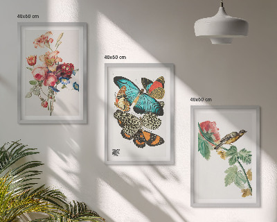Cadre photo mural Fleurs, papillons, oiseaux, pastel