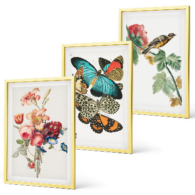 Cadre photo mural Fleurs, papillons, oiseaux, pastel