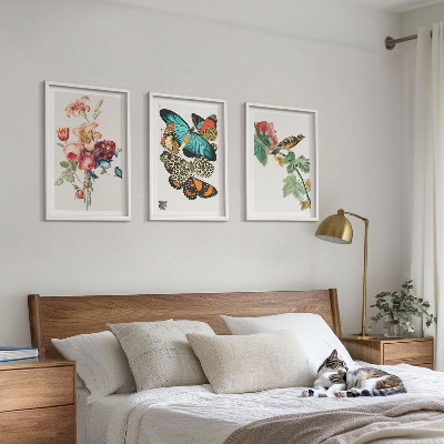 Cadre photo mural Fleurs, papillons, oiseaux, pastel