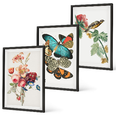 Cadre photo mural Fleurs, papillons, oiseaux, pastel