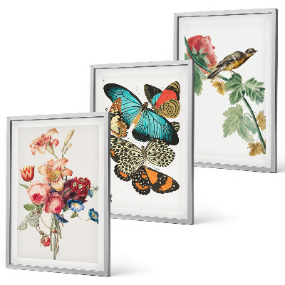 Cadre photo mural Fleurs, papillons, oiseaux, pastel