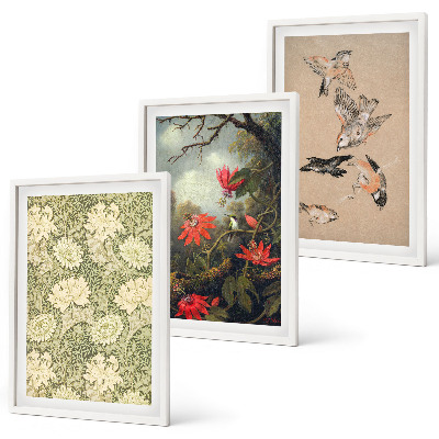 Lot de 3 tableaux pour salon Fleurs, oiseaux, nature