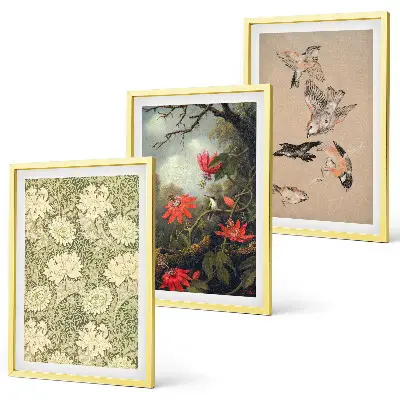 Lot de 3 tableaux pour salon représentant des fleurs, des oiseaux et la nature