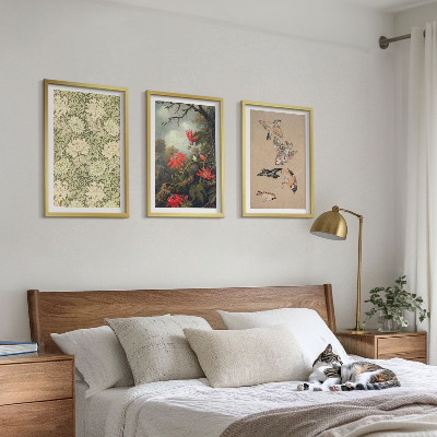Lot de 3 tableaux pour salon Fleurs, oiseaux, nature