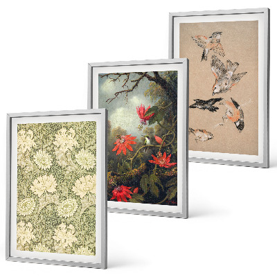 Lot de 3 tableaux pour salon Fleurs, oiseaux, nature