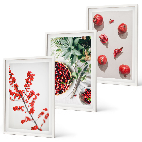 Lot de 3 tableaux pour salon Fruits rouges des plantes minimalisme