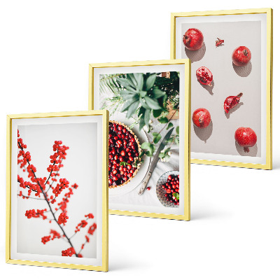 Lot de 3 tableaux pour salon Fruits rouges des plantes minimalisme