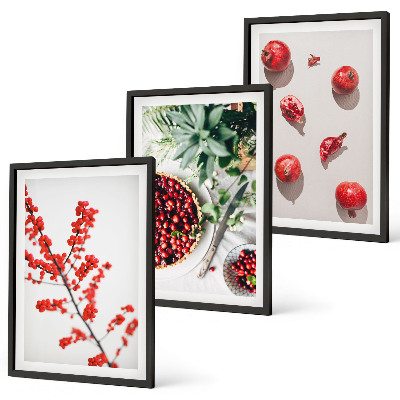 Lot de 3 tableaux pour salon Fruits rouges des plantes minimalisme