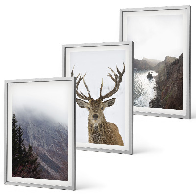 Cadre photo mural Paysage de montagne avec des cerfs