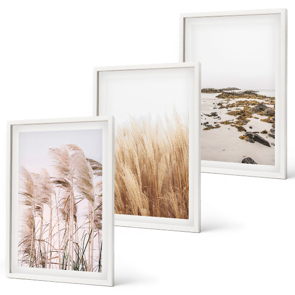 Lot de 3 tableaux pour salon Des champs d'herbes de la pampa et une plage bohème