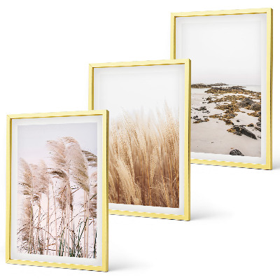 Lot de 3 tableaux pour salon Des champs d'herbes de la pampa et une plage bohème