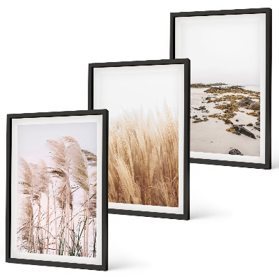 Lot de 3 tableaux pour salon Des champs d'herbes de la pampa et une plage bohème