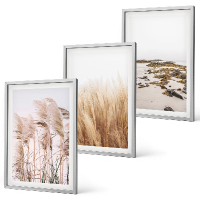 Lot de 3 tableaux pour salon Des champs d'herbes de la pampa et une plage bohème