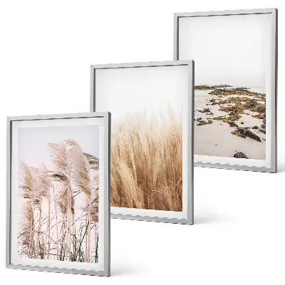 Lot de 3 tableaux pour salon motif champs d'herbes de la pampa et plage bohème
