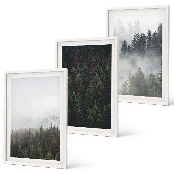 Cadre photo mural Forêts vertes brume nature