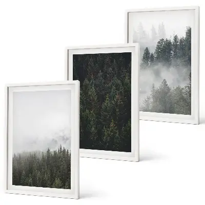 Cadre photo mural forêts vertes dans la brume au naturel