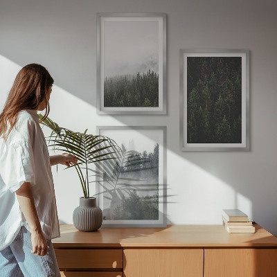 Cadre photo mural Forêts vertes brume nature
