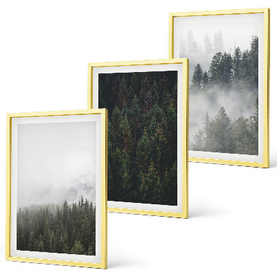 Cadre photo mural Forêts vertes brume nature
