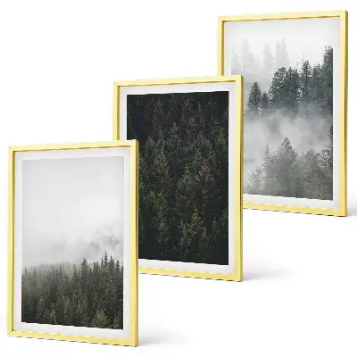 Cadre photo mural forêts vertes dans la brume au naturel