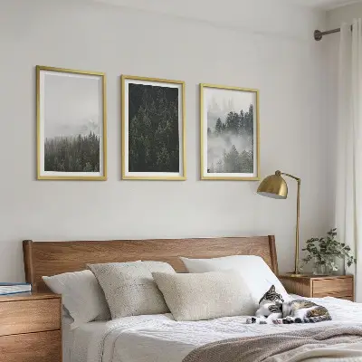 Cadre photo mural forêts vertes dans la brume au naturel