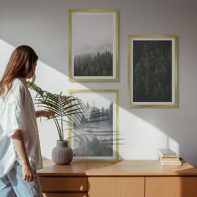 Cadre photo mural Forêts vertes brume nature