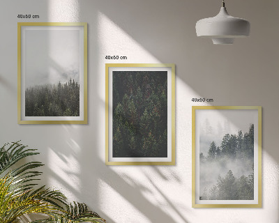 Cadre photo mural Forêts vertes brume nature