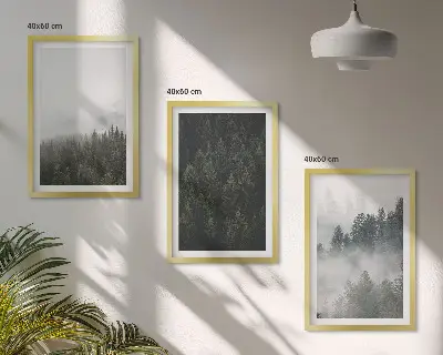 Cadre photo mural forêts vertes dans la brume au naturel