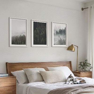 Cadre photo mural Forêts vertes brume nature