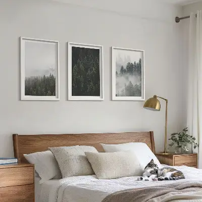 Cadre photo mural forêts vertes dans la brume au naturel