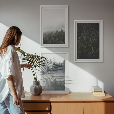 Cadre photo mural Forêts vertes brume nature