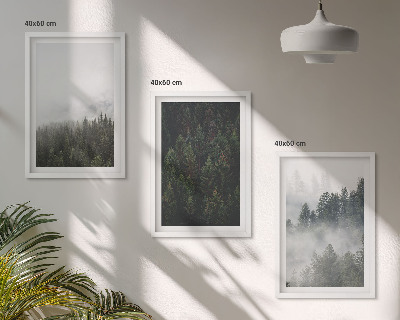 Cadre photo mural Forêts vertes brume nature
