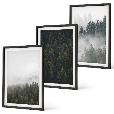 Cadre photo mural Forêts vertes brume nature