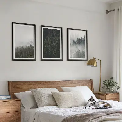 Cadre photo mural forêts vertes dans la brume au naturel