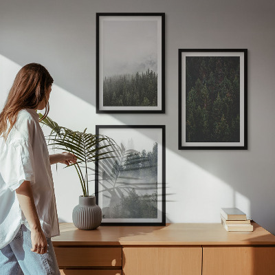Cadre photo mural Forêts vertes brume nature