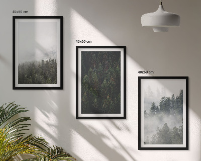 Cadre photo mural Forêts vertes brume nature