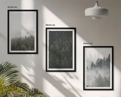 Cadre photo mural forêts vertes dans la brume au naturel