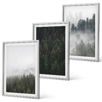 Cadre photo mural Forêts vertes brume nature