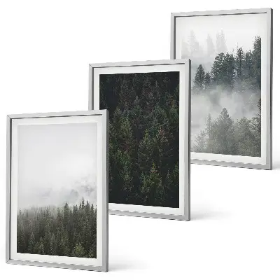 Cadre photo mural forêts vertes dans la brume au naturel