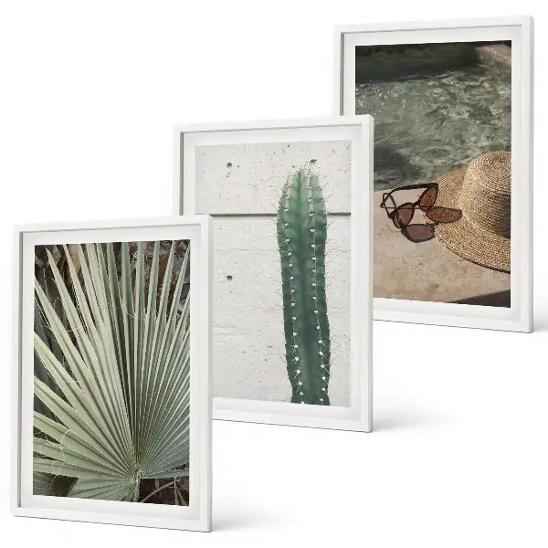 Lot de 3 tableaux pour salon représentant des accessoires pour plantes tropicales