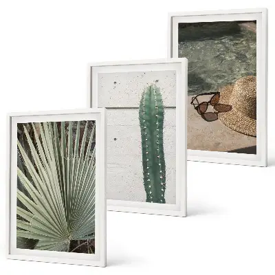 Lot de 3 tableaux pour salon représentant des accessoires pour plantes tropicales