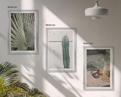 Lot de 3 tableaux pour salon Accessoires pour plantes tropicales