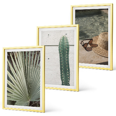 Lot de 3 tableaux pour salon Accessoires pour plantes tropicales