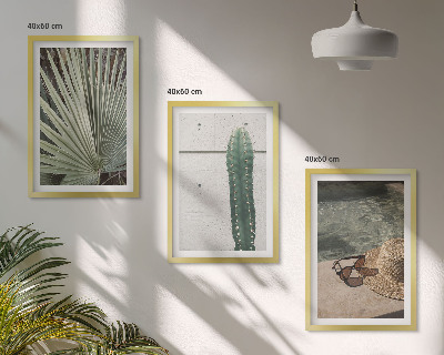Lot de 3 tableaux pour salon Accessoires pour plantes tropicales